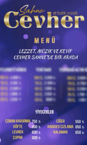 Standart1